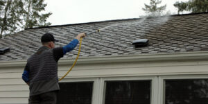 Residential Roof Cleaning