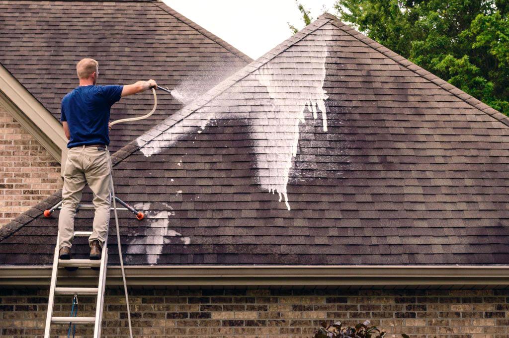 Residential Roof Cleaning