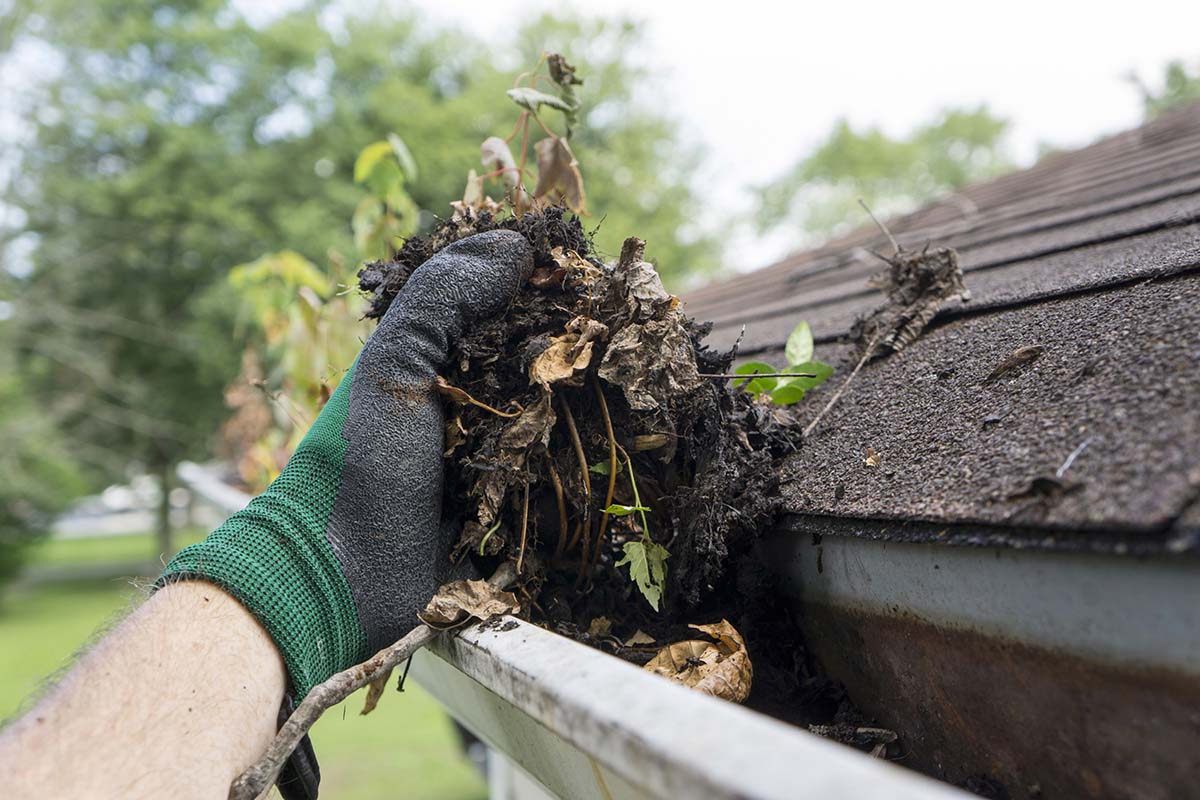 Residential Exterior gutter Cleaning
