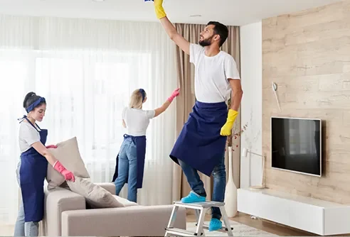 Professional Cleaning